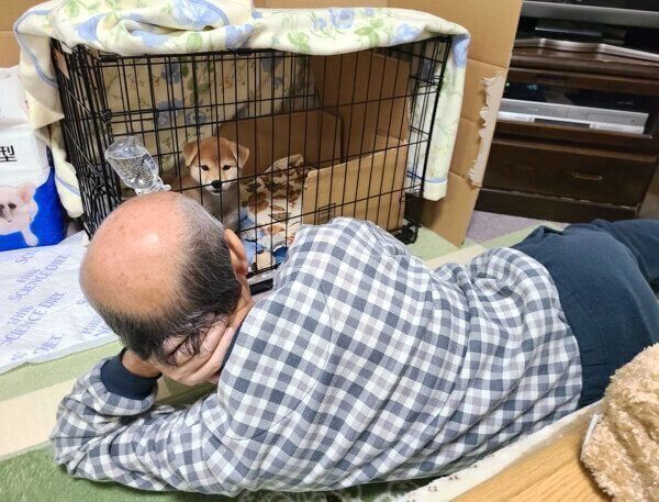 麦くんを見つめるお父さん