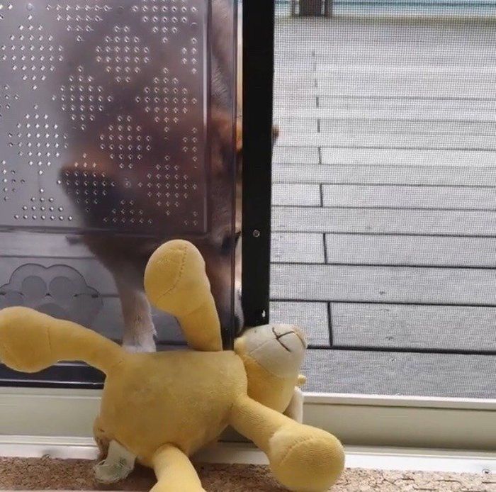 ふくちゃん救出中