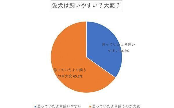 愛犬は飼いやすい? 大変?