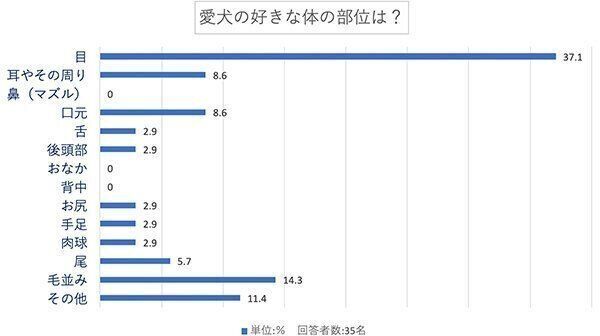 愛犬の好きな体の部位は?