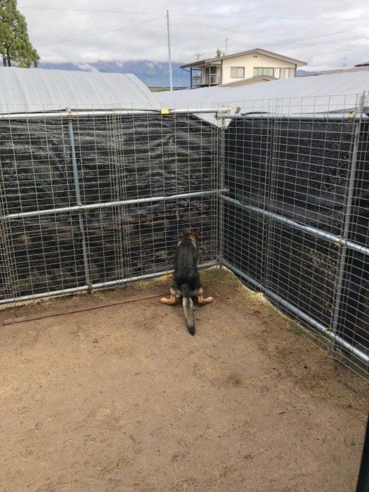 随分と角のところを選んだね。ウンポーズ