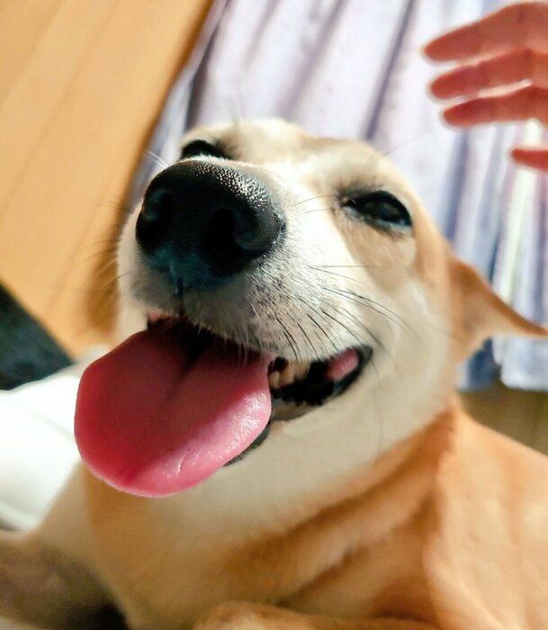 笑顔が可愛いアキラくん