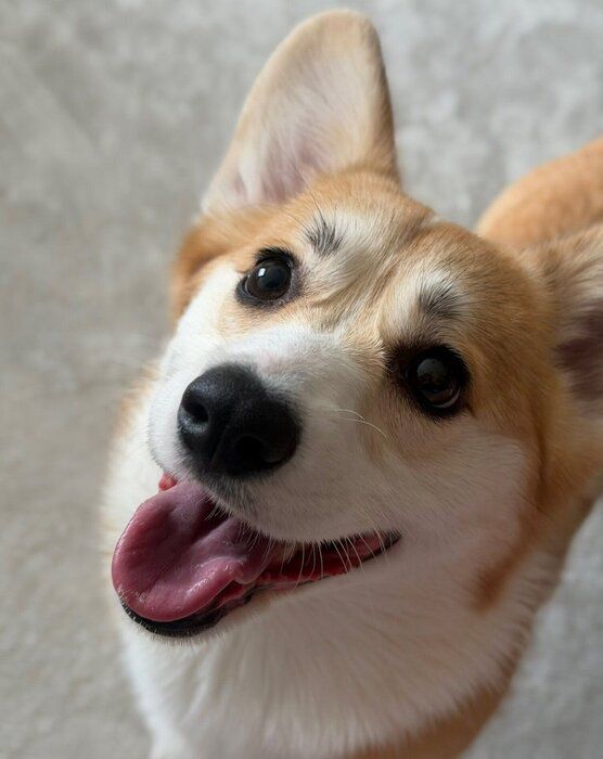 笑顔がかわいい月ちゃん