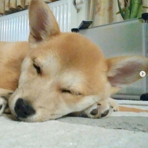 眠る咲季ちゃん