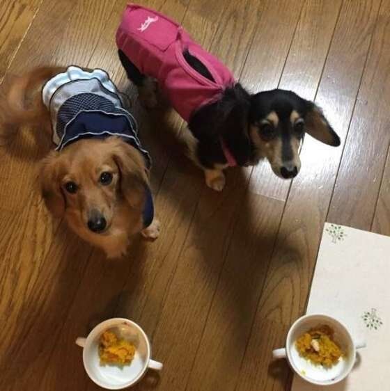 かぼちゃ大好き♪