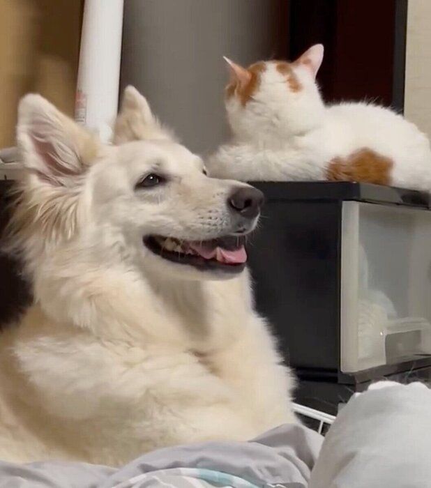まったりタイムを過ごすうたちゃんとつくしちゃん