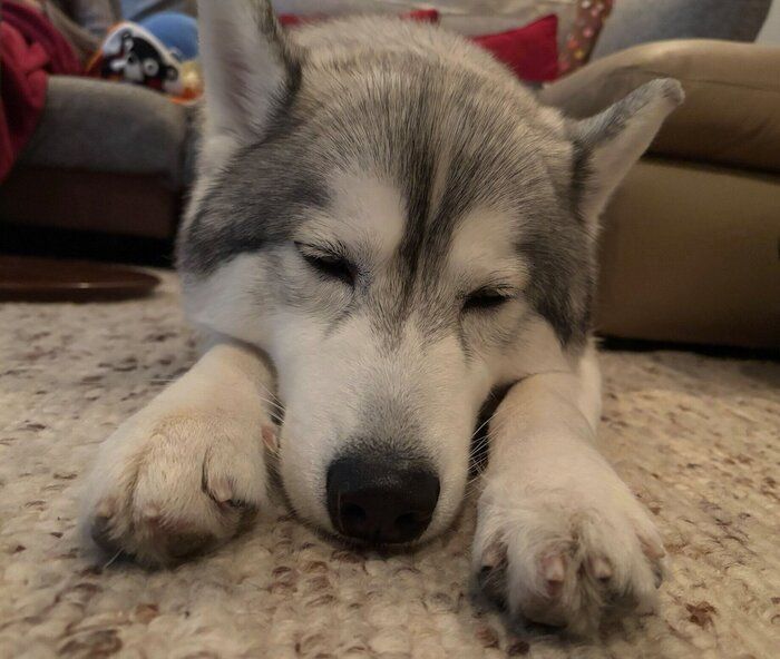 ���餬�İ����८�����