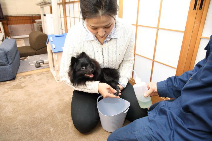 朝昼晩と寝る前の計4回、夫妻でみかんちゃんの足を消毒する日々が始まりました(撮影/尾﨑たまき)