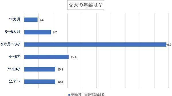 愛犬の年齢は?
