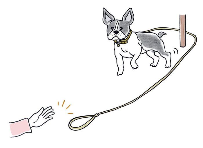 愛犬の首輪に長めのリード、またはひもをつけます。愛犬がこちらに来ないよう柱などを介してリードを持ち、オイデの指示とともにリードを離して。足元まで来たらほめます(イラスト/iina)