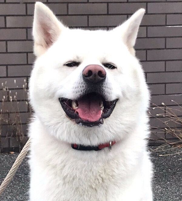笑顔の心くん