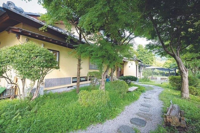 緑に囲まれた小道を進むと、古民家を改装したシェルターがあり、そこで犬たちは快適に暮らしています