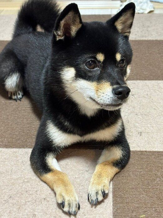 �ޤä��ꤹ�륭��������
