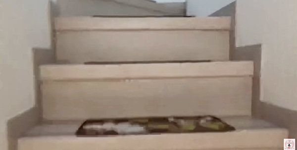 家の階段
