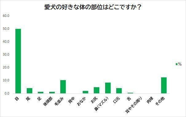 Q.シー・ズーの好きな体の部位は?