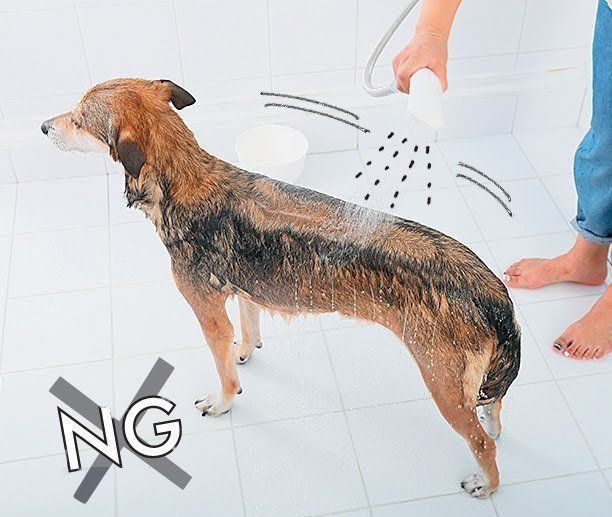 すすぎNG例