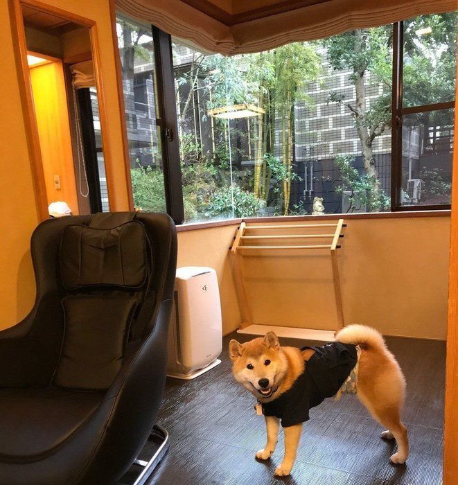 柴の紗助くん