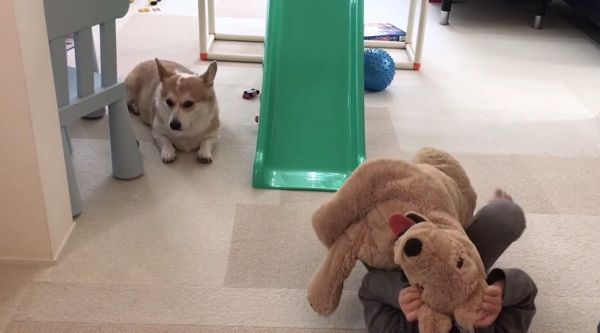 明日は我が身