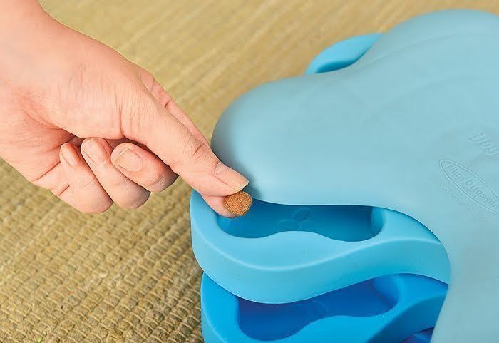 知育おもちゃ