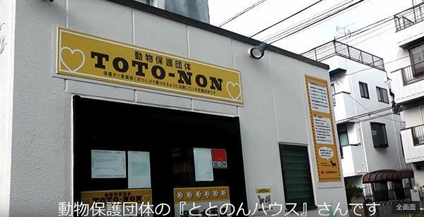 ととのんハウス