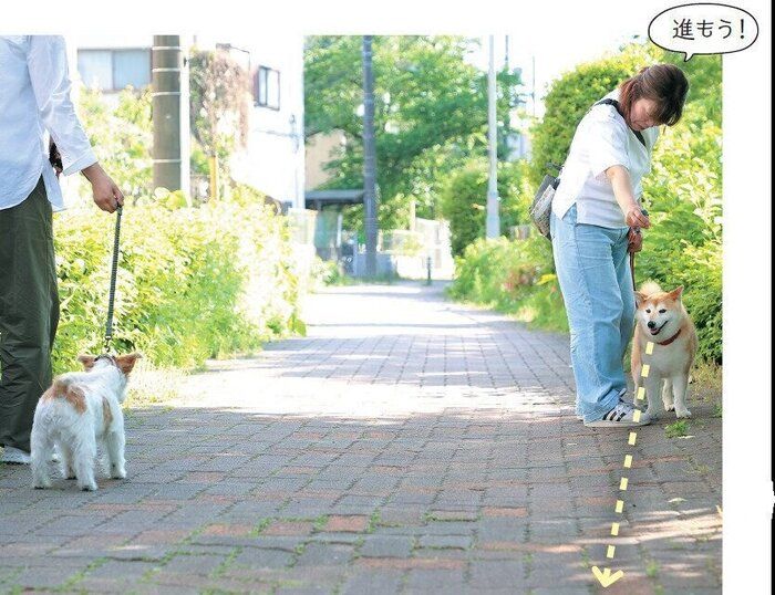 威嚇してじっとみてしまう場合