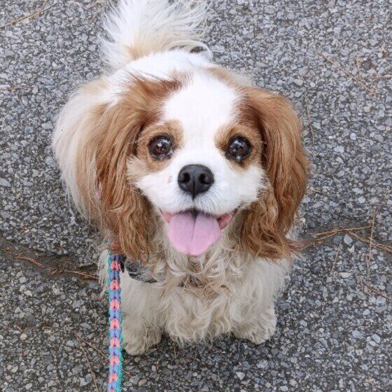 ニコニコの表情♪