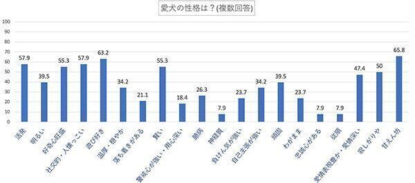愛犬の性格は?