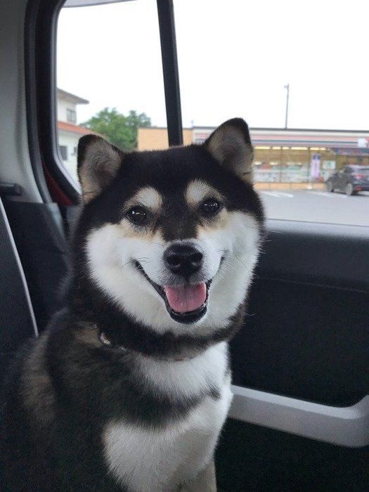 柴