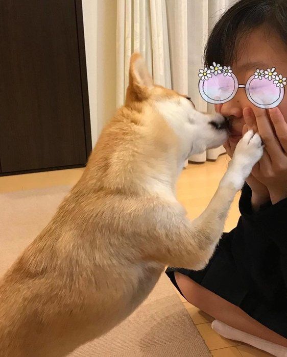 すずちゃん