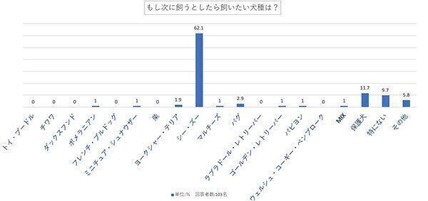 もし次に飼うとしたら飼いたい犬種は?