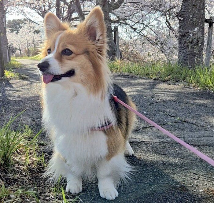 立派に成長したゆきちゃん