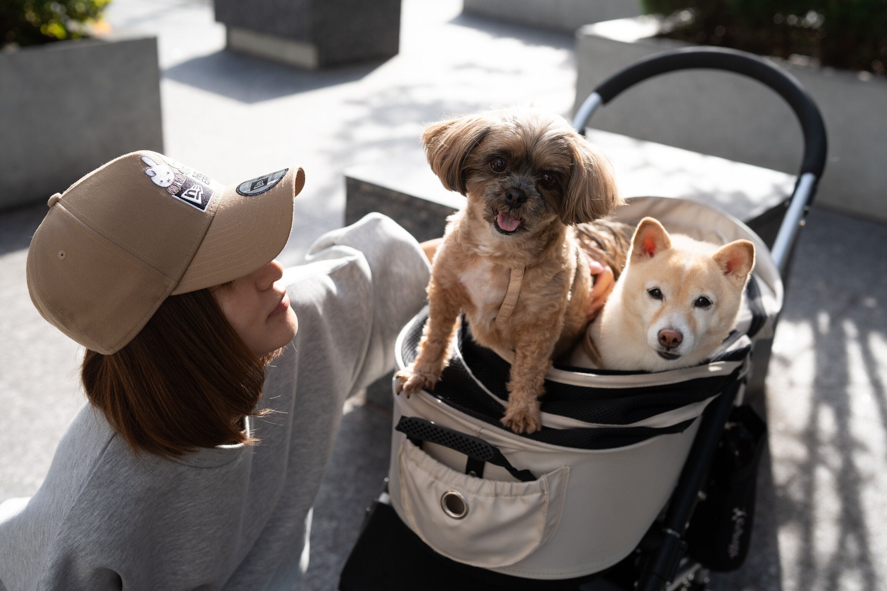 ペット用ベッド！暑さ対策！お出かけに！ ペット用品 犬 猫 ベッド マット 夏用 冷たい 熱中症予防 ジェル