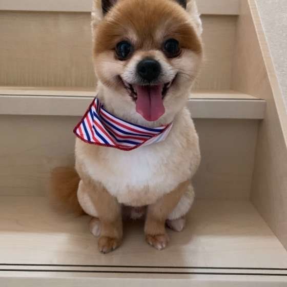 小太郎ちゃん