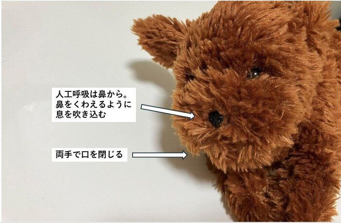 人工呼吸は口ではなく鼻へ