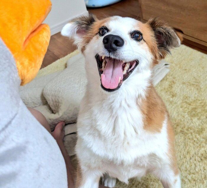 笑顔が可愛いふう太くん