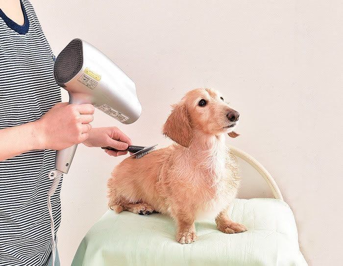 ドライヤー