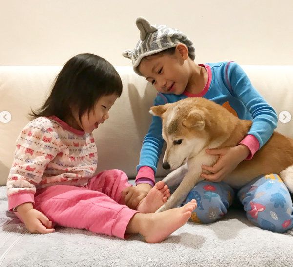子どもたちと遊ぶ柴犬のリリコちゃん