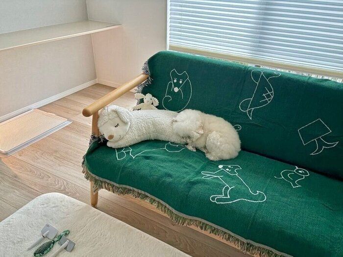 ソファの上でぬいぐるみに紛れるわたげちゃん