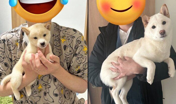 生後2カ月→生後6カ月のビフォーアフター