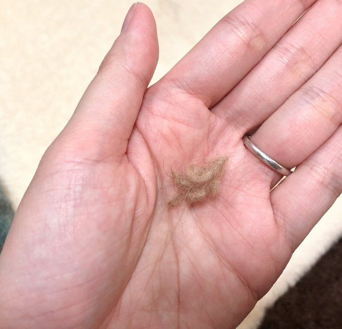 毛束が取れた