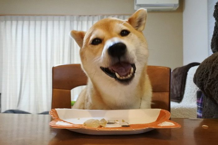 うまうまうま