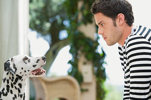 男性と彼の犬