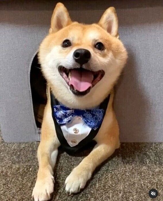 笑顔の豆千代くん