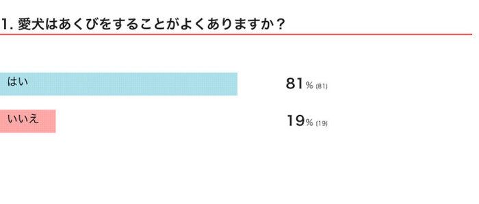 愛犬はあくびをすることがよくある？