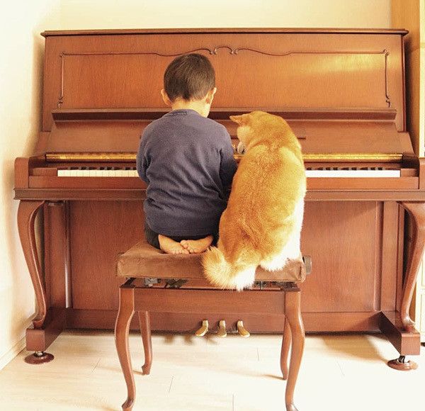 柴犬と子ども