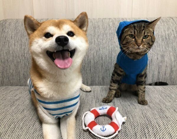 ソファでくつろぐゆうくん、とろくん