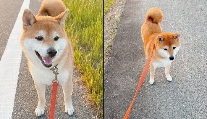 気持ちが態度にダダ漏れなつむちゃん