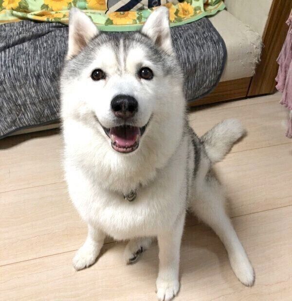 笑顔のシルビアちゃん