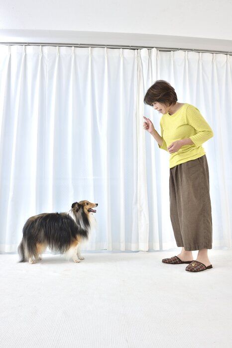 大声も、連呼も避けたほうがよいでしょう(写真/佐藤正之)