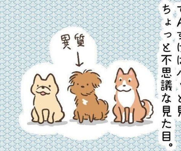 5r7pjjyhpk02pm 5r7pjjyhpk02pm